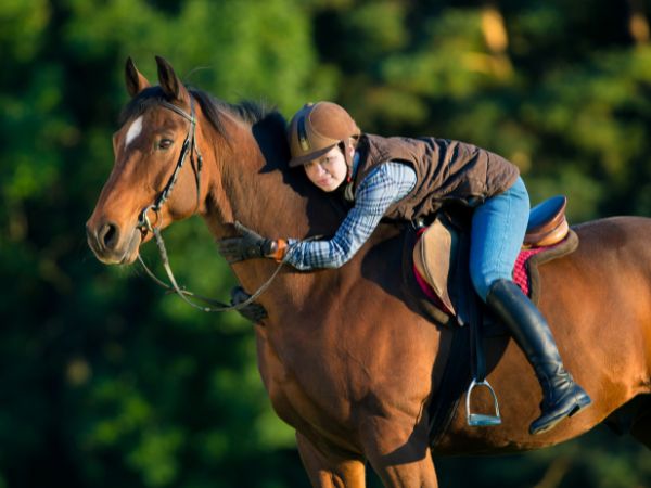 Korzyści z hipoterapii w przypadku uzależnień i ADHD: Wszystko co musisz wiedzieć o terapii z udziałem koni