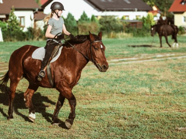 Jak wybrać profesjonalną lekcję jazdy konnej z instruktorem