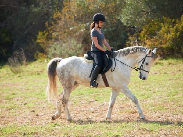 Kilka prostych wskazówek, jak nauczyć się jeździć konno
