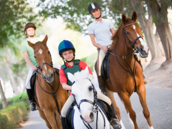 Profesjonalne szkolenie z jazdy konnej dla dzieci i dorosłych
