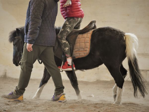 Prawda o hipoterapii: Jak konie pomagają leczyć dzieci