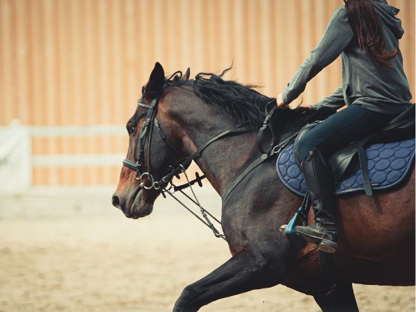 Porady jak zacząć jeździć konno: Podstawowe wskazówki dotyczące jazdy konnej dla początkujących