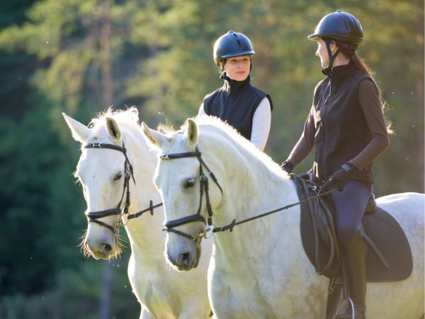 Korzyści z jazdy konnej: Dlaczego powinieneś spróbować